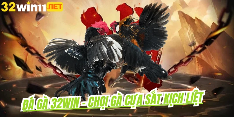 Đá Gà 32win - Chọi gà cựa sắt kịch liệt