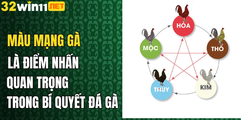 Màu mạng gà là điểm nhấn quan trọng trong bí quyết đá gà