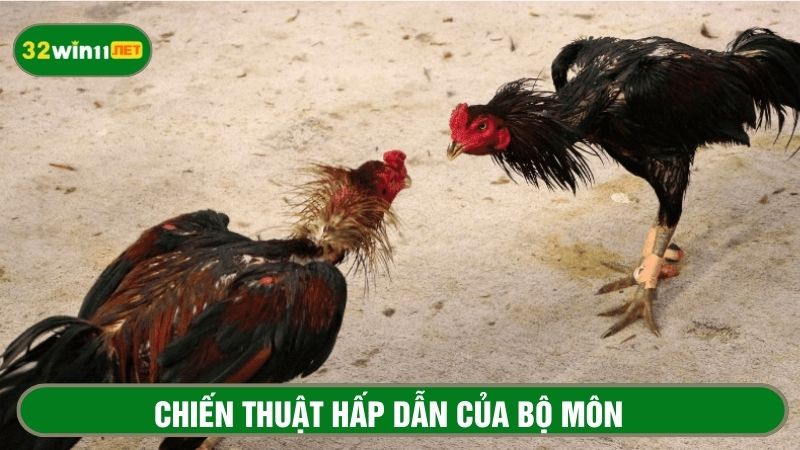 Sức hấp dẫn của bộ môn đến từ sự kịch tính của chiến thuật