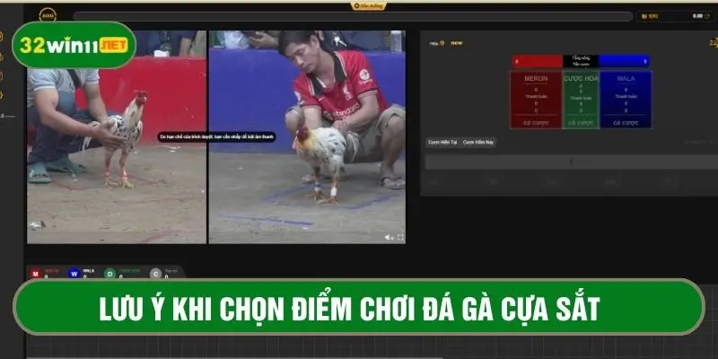 Những lưu ý khi chọn điểm cá cược đá gà uy tín