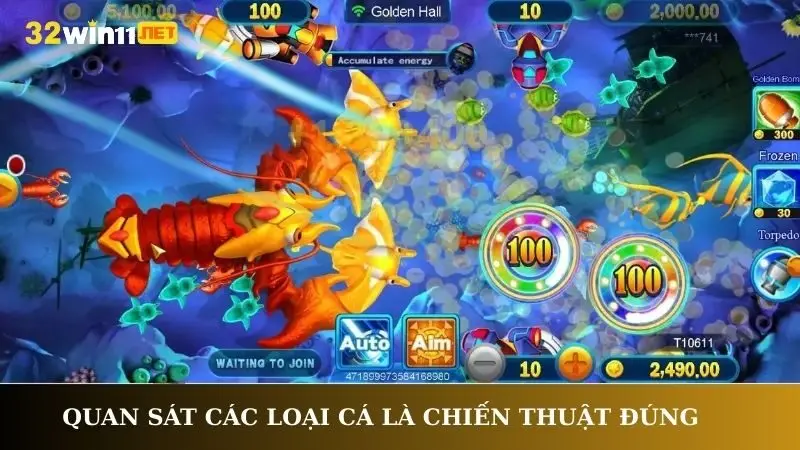 Quan sát các loại cá là chiến thuật đúng