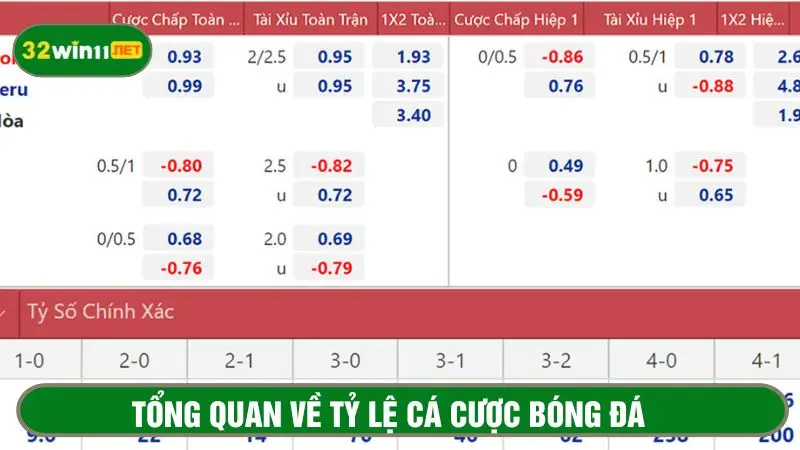 Tỷ lệ cá cược bóng đá do nhà cái cung cấp
