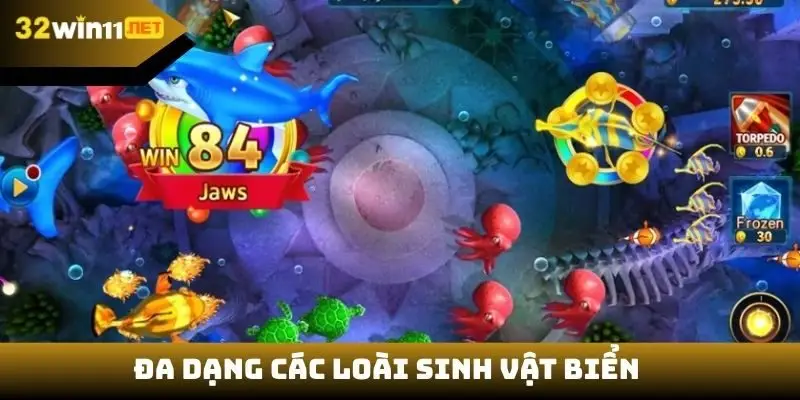 Đa dạng các loài sinh vật biển